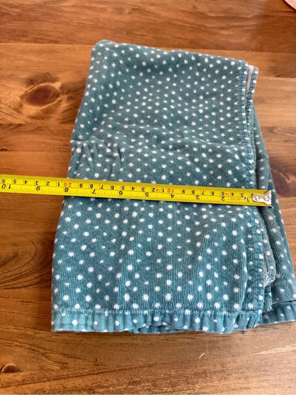 PIONEER WOMAN Teal Polka Dot Hand Towel (2)